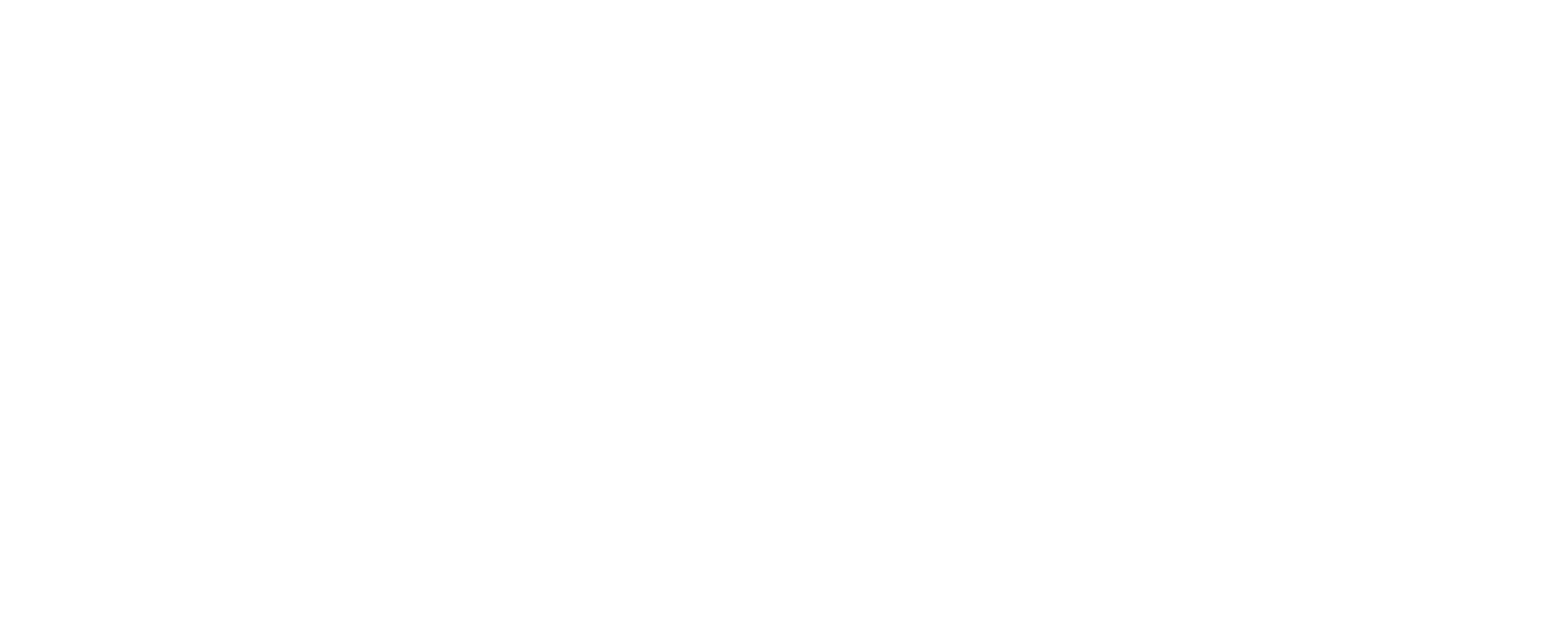 TechSentinel Solutions Inc.